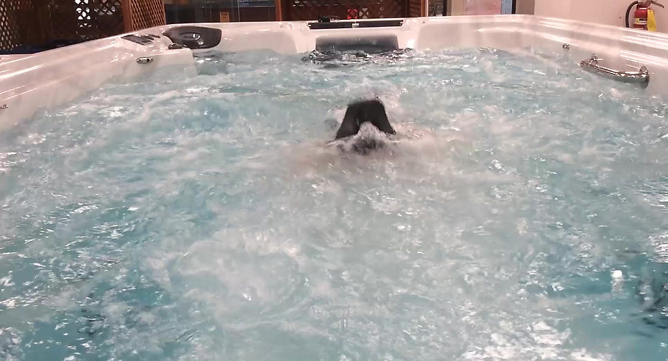 Alexis Swimming in 15 TidalFit